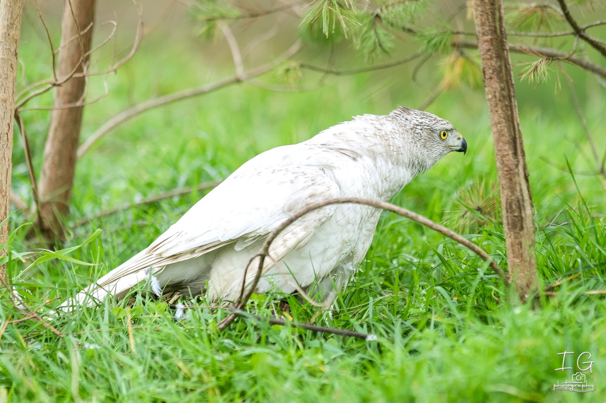 20211023 AK6I9941 insta